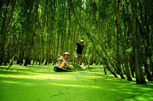 MEKONG DELTA 3 DAYS TOUR - COCONUT ISLAND - CAI RANG FLOATING MARKET - TRA SU SANCTUARY