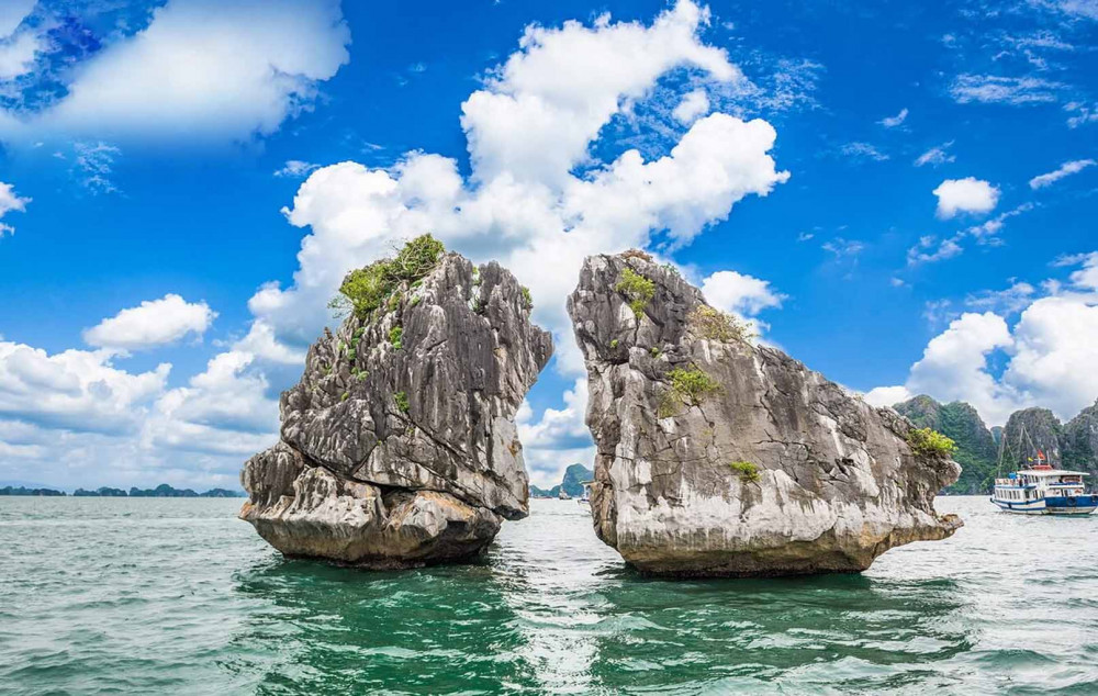 tauhalonghonchongmai