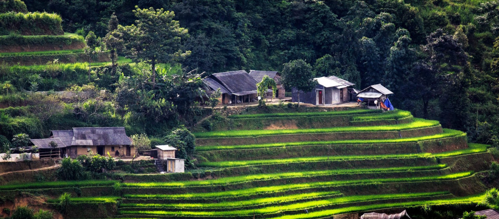 singchaivillage lucotravel
