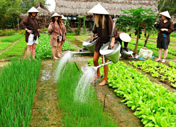 Tra Que Farming & Cooking Class Day Tour