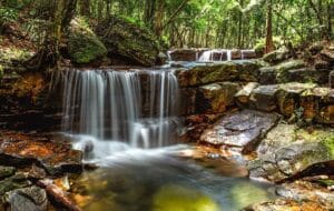 Explore the Untouched Wilderness of Phu Quoc National Park: A Nature Lover's Paradise 2 154