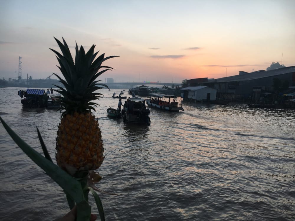 The Magic Of Mekong Delta Vietnam 1 179928591 4189407097738636 49424