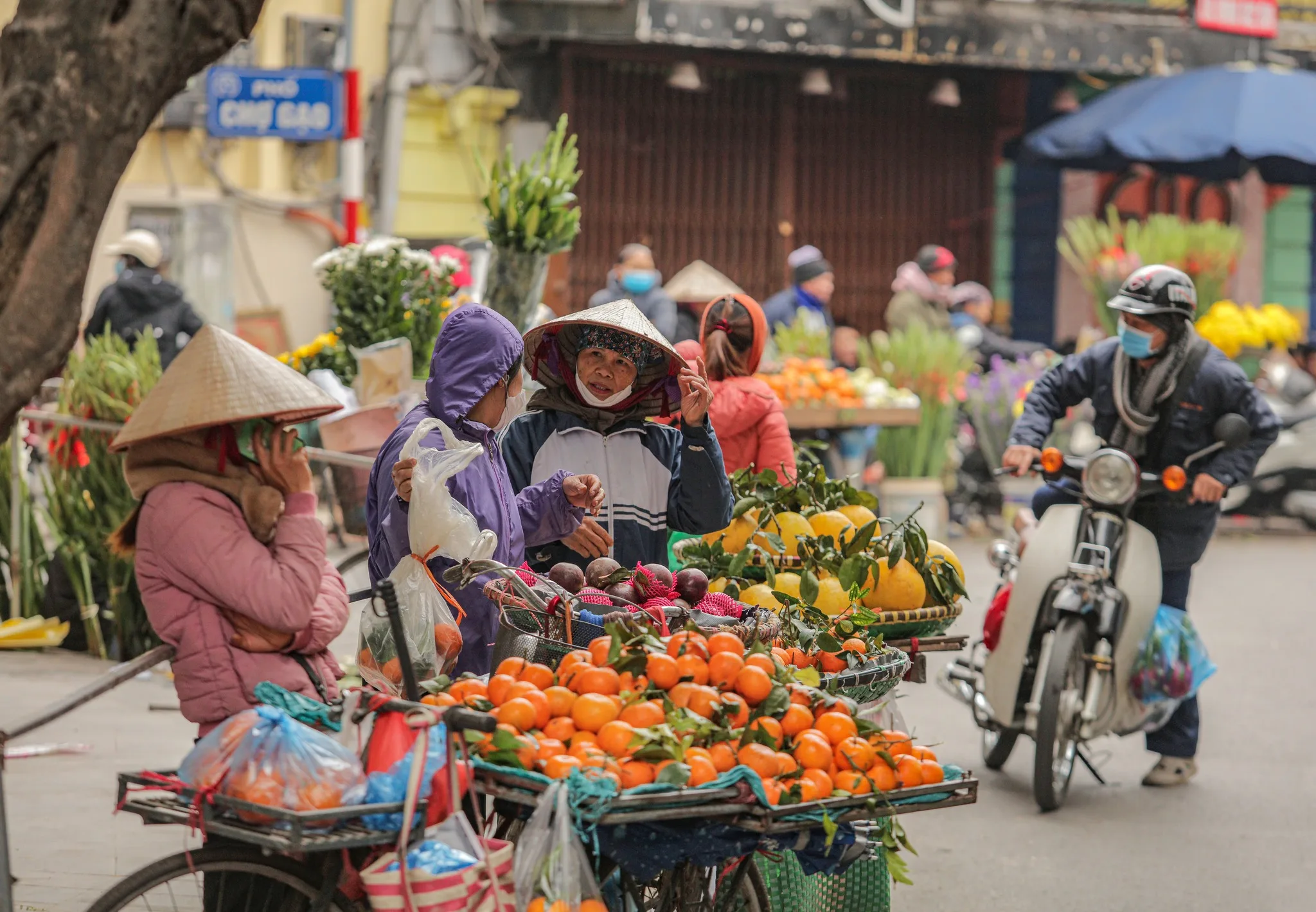 459531227 955776213228295 1311006535869476098 n