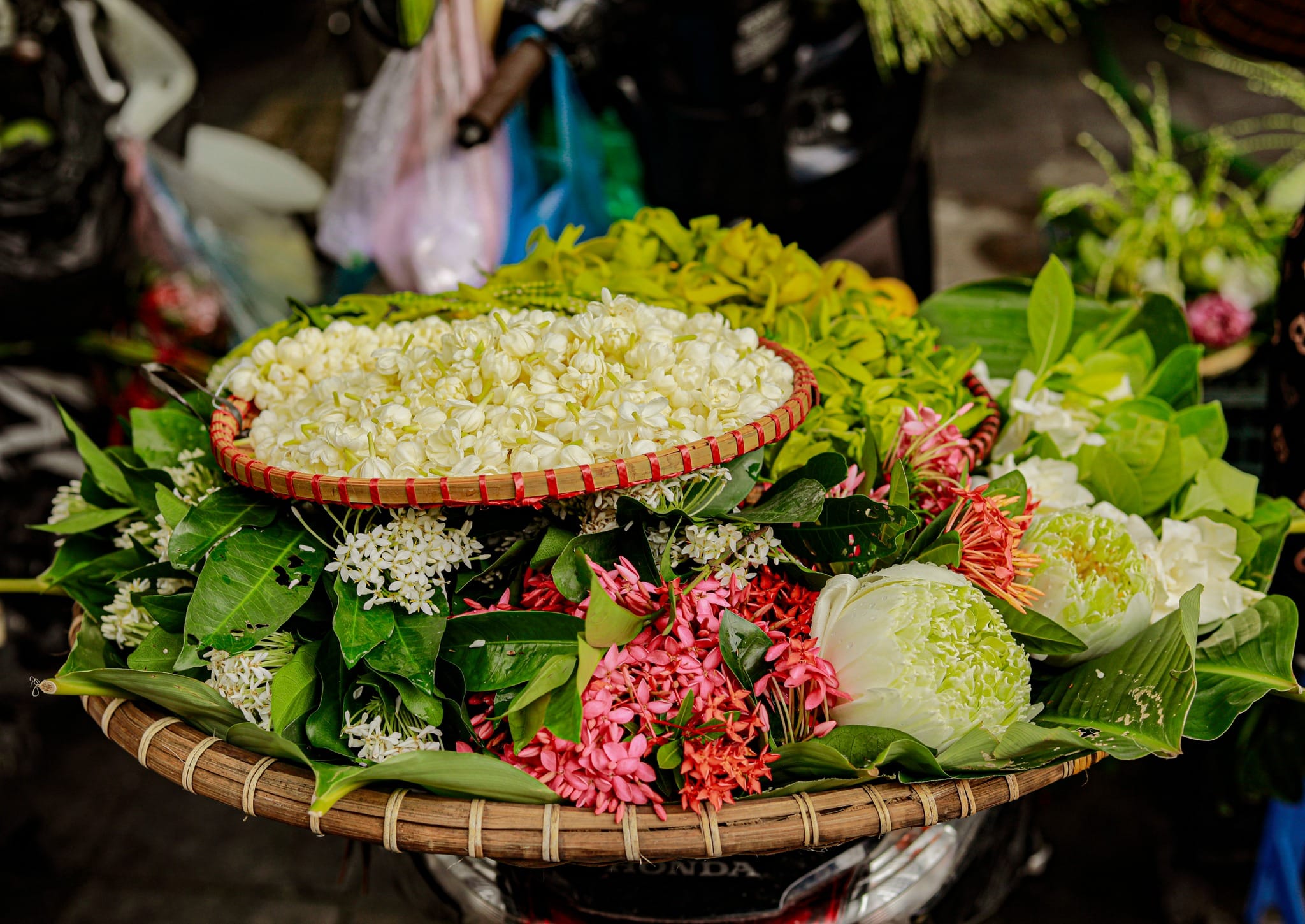 459660120 955775913228325 536346217426397567 n