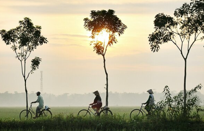 Half Day Cycling in the Hoi An Countryside