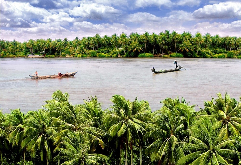 Coconut Palms, The Symbol Of Ben Tre 1 ben trea 2