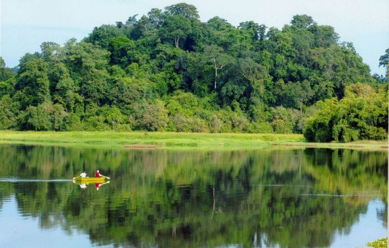 Pristine Nature: Cat Tien National Park 1 cat tien 1