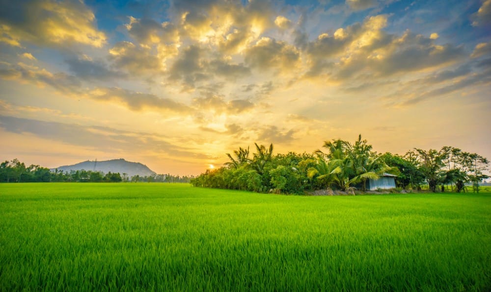 Sam Mountain - A Place Of Pilgrimage For The Vietnamese 2 nui sam 2