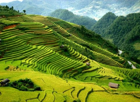 Sapa - The Fanciful Town In Fog 2 sapa3