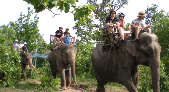 Yok Don National Park: Vietnam's Largest National Park and a Biodiversity Hotspot 2 yok don 3