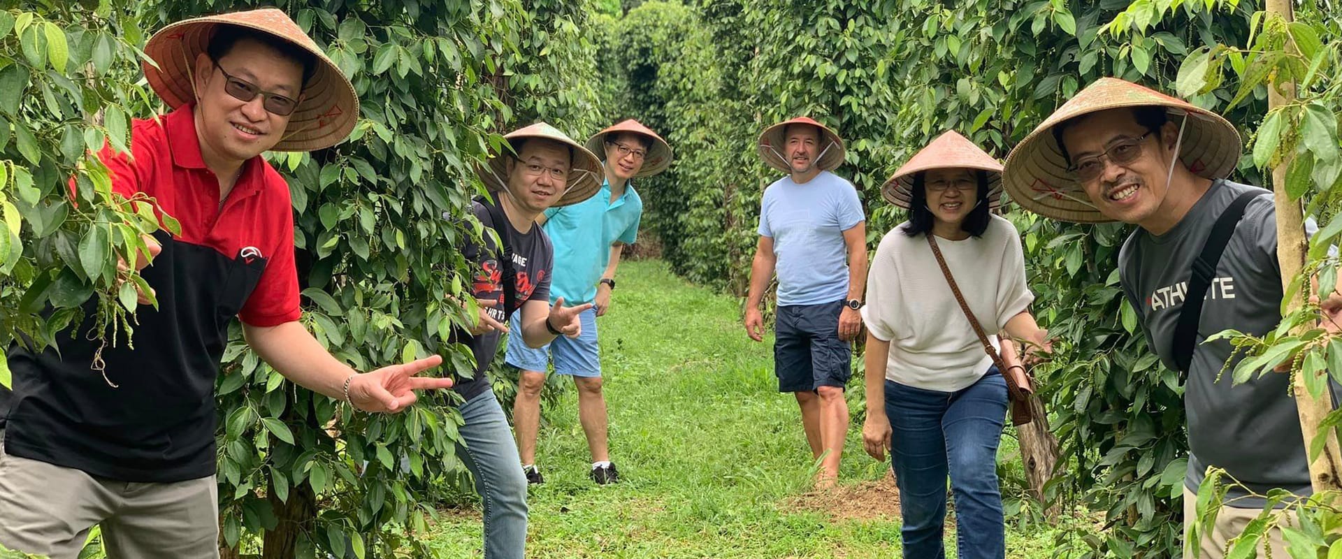 pepper farm phu quoc 06
