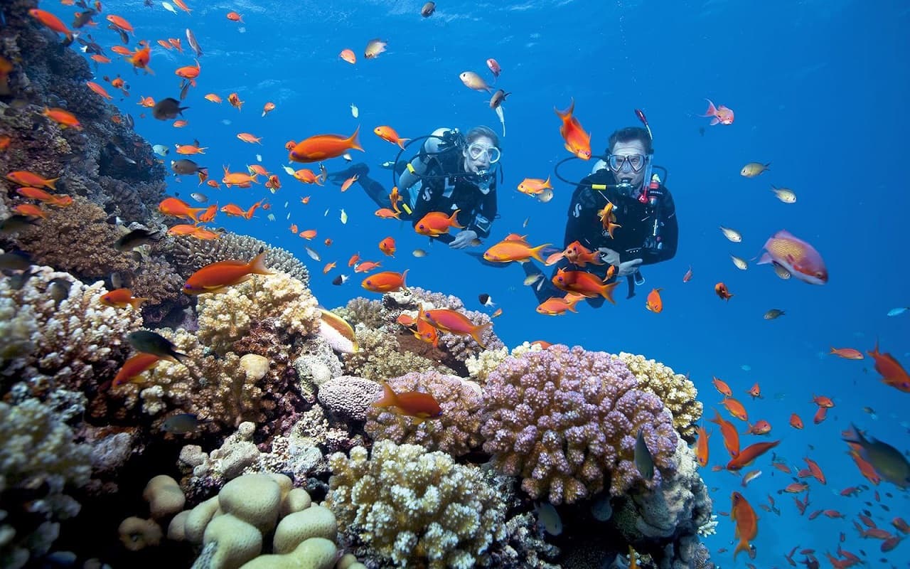 tour lan ngam san ho phu quoc 1 ngay