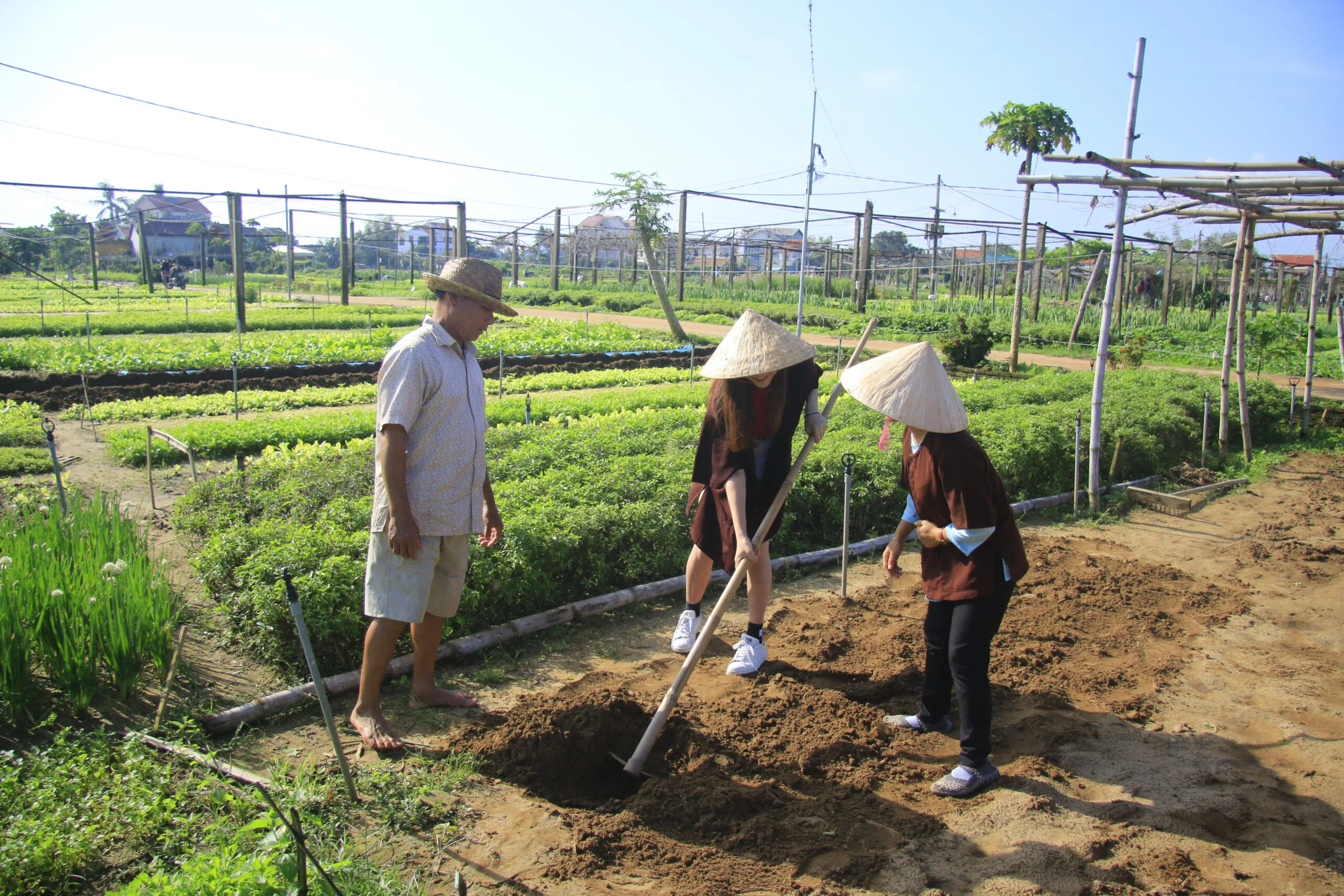 6D5N Cultural Immersion Trip in Da Nang - Bana Hills - Vietnam 12 MG 4207 1 scaled
